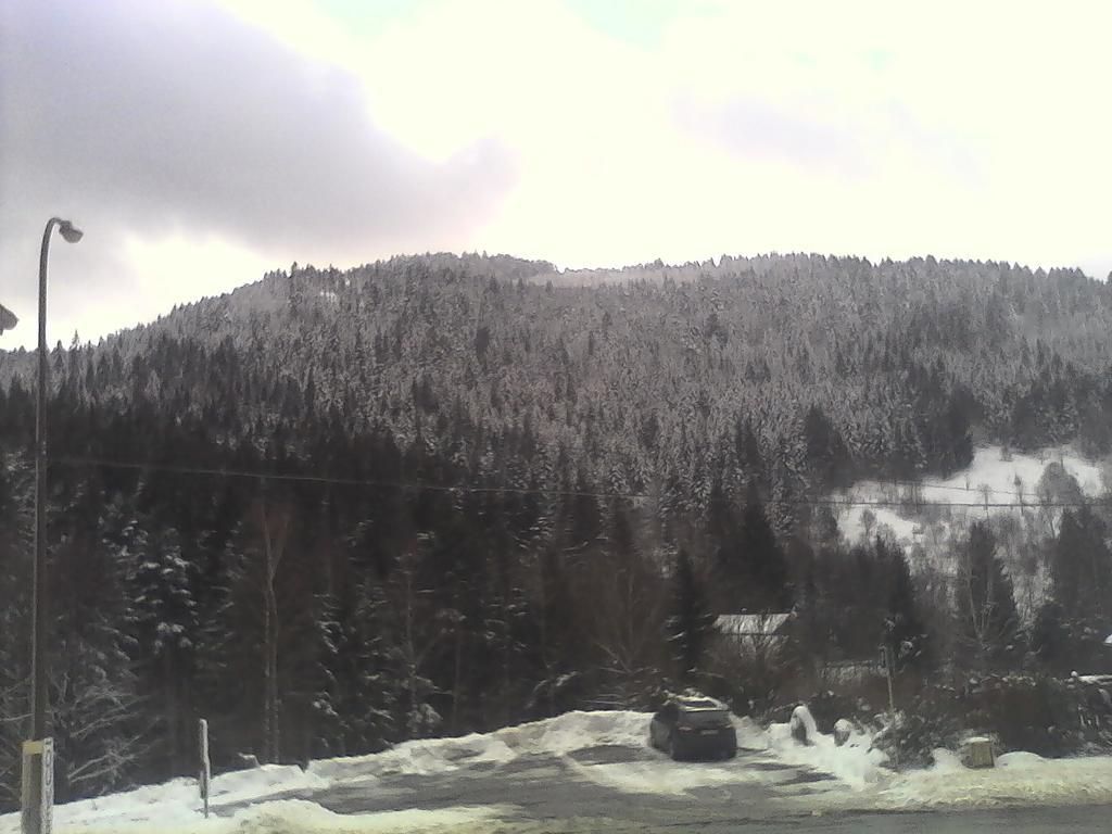 Gite De L'Ours La Bresse Exterior photo